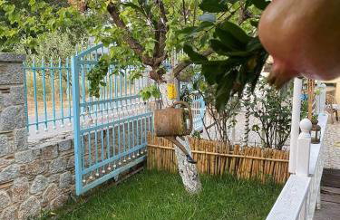 Royal's Studios - Photo 43