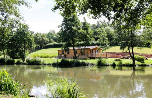 Kingfisher - Foto 20