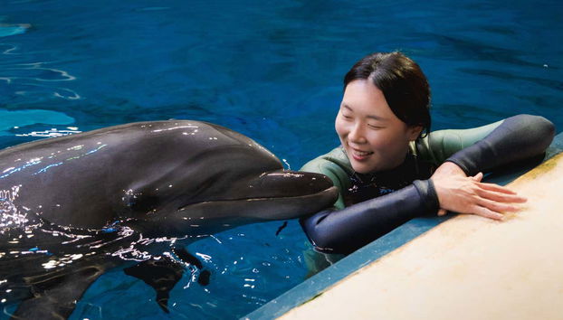 Ingresso do Aqua Planet Jeju - Foto 5