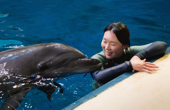 Ingresso do Aqua Planet Jeju - Foto 5