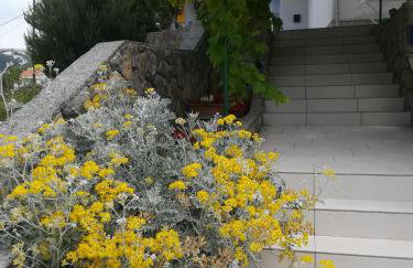 Apartmani Ivić Paka Rab - Photo 30