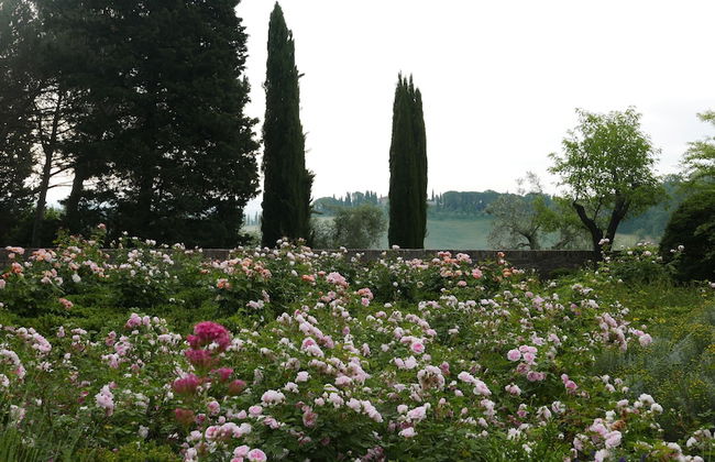 Ca' Bianca Tuscany Relais - Foto 38