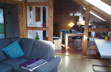 Aussergewöhnliche Atelierferienwohnung mit Balkon an der Donau - Foto 15