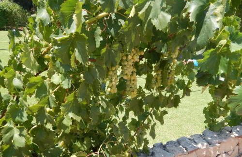 Villa Sol e Mar Private pool & jacuzzi - Photo 76