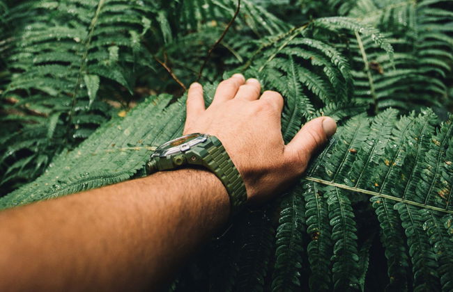 Hiking Along the Indiana Jones Trail - Photo 2