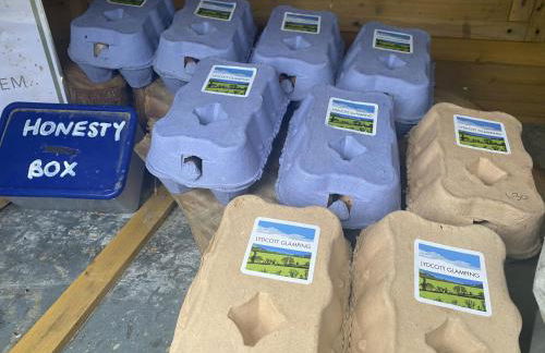 The Pilchard - Lydcott Glamping Cornwall, sea view - Foto 27