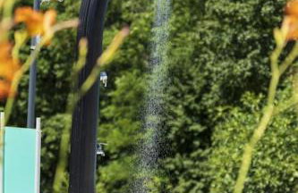 Luxury Villa Četiri Hrasta - Foto 19