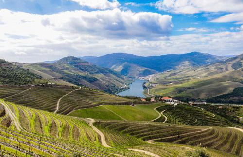 House Dinavast Pet Friendly - Foto 24