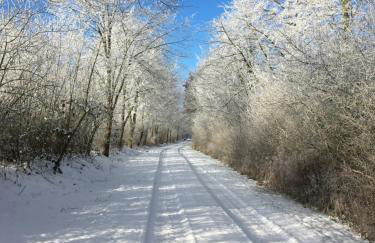 Ländliches HideAway zwischen Hamburg und Lübeck - Foto 25