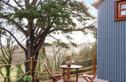 Little Silver Fox - Foto 16