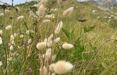 Maison bord de mer, plage 160m - Photo 23