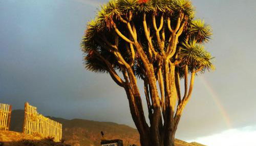 Casas las Gemelas VIEWPOINT! - Foto 5