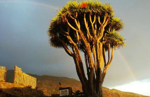 Casas las Gemelas VIEWPOINT! - Foto 5