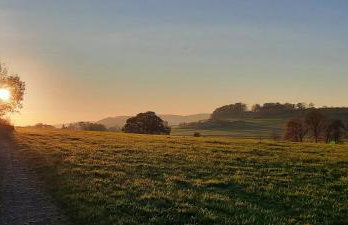 Ferienwohnung Quinkert - Foto 24