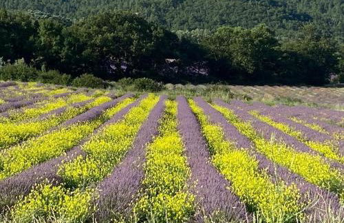 Maison de village, piscine, Colorado - Foto 33