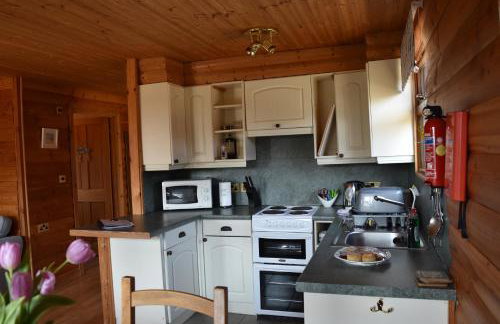 East Crinnis Log Cabin - Photo 8