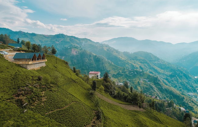 View Suit Bungalov - Foto 16