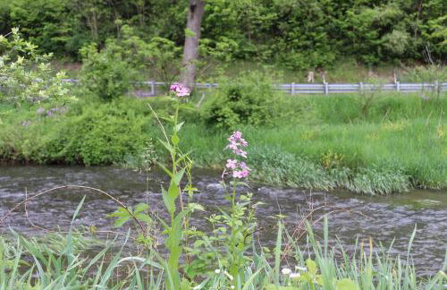 Penn's Creek Symphony - Foto 50