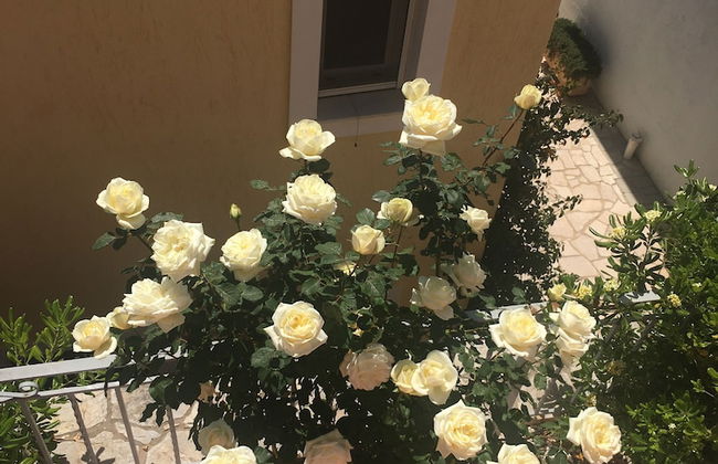 Flower House - Photo 18