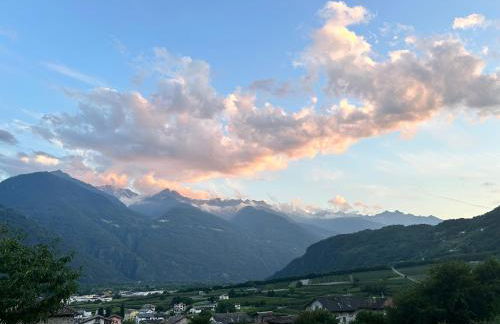 Valtellinda - Foto 57