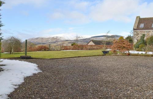 White Wisp - Photo 12