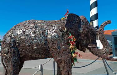 Studio Mer & Aa-terrasse-jardin-WIFI-parking-classé 3 étoiles - Foto 69