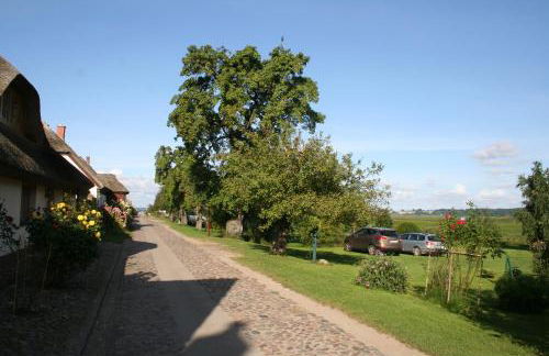 Haus - Meeresbrise - Foto 22