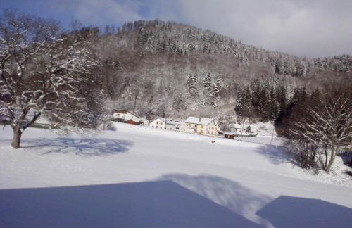 Gites typiques au coeur des Hautes Vosges - Foto 4