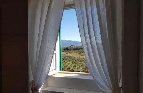 Castelletto in Sabina - Foto 21