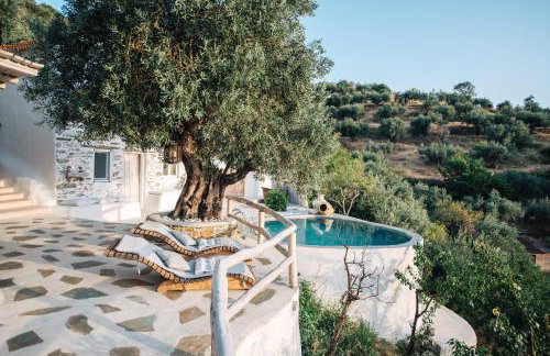 Christine's House - Foto 14