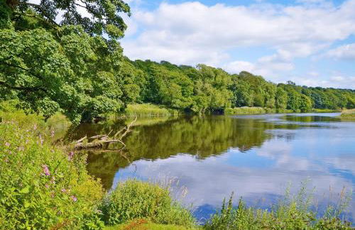 The Stable - 30562 - Foto 7