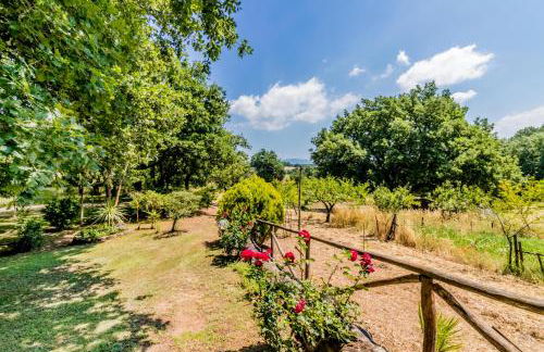 Country House di Campo Stivaletto Nepi - Foto 14