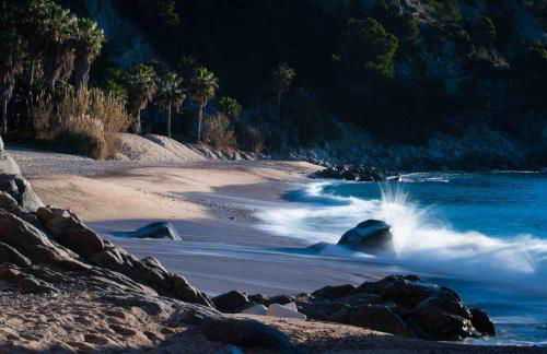 Villa in Tossa de Mar (Santa María de Llorell) - Foto 25