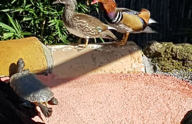 Original Sicily House - Foto 56