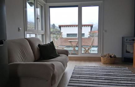 Mirando a los Picos de Europa - Photo 11