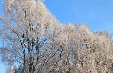 The Cairn at North Lodge, Rural Guest Suite - Foto 46