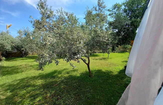 Holiday House Chill out Loborika - Foto 21