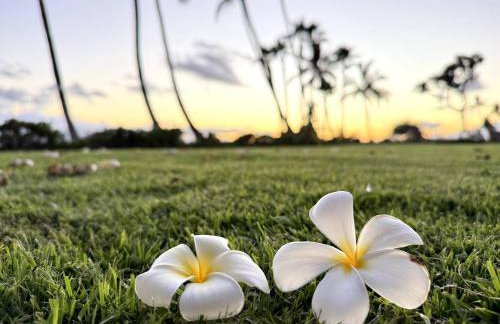 Lahaina Studio: Beachfront, Mountain View, Hot Tub - Foto 8