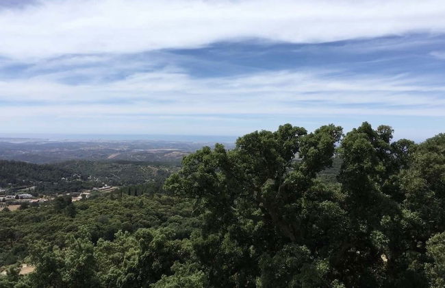 Silves and Caldas de Monchique Tour - Photo 2