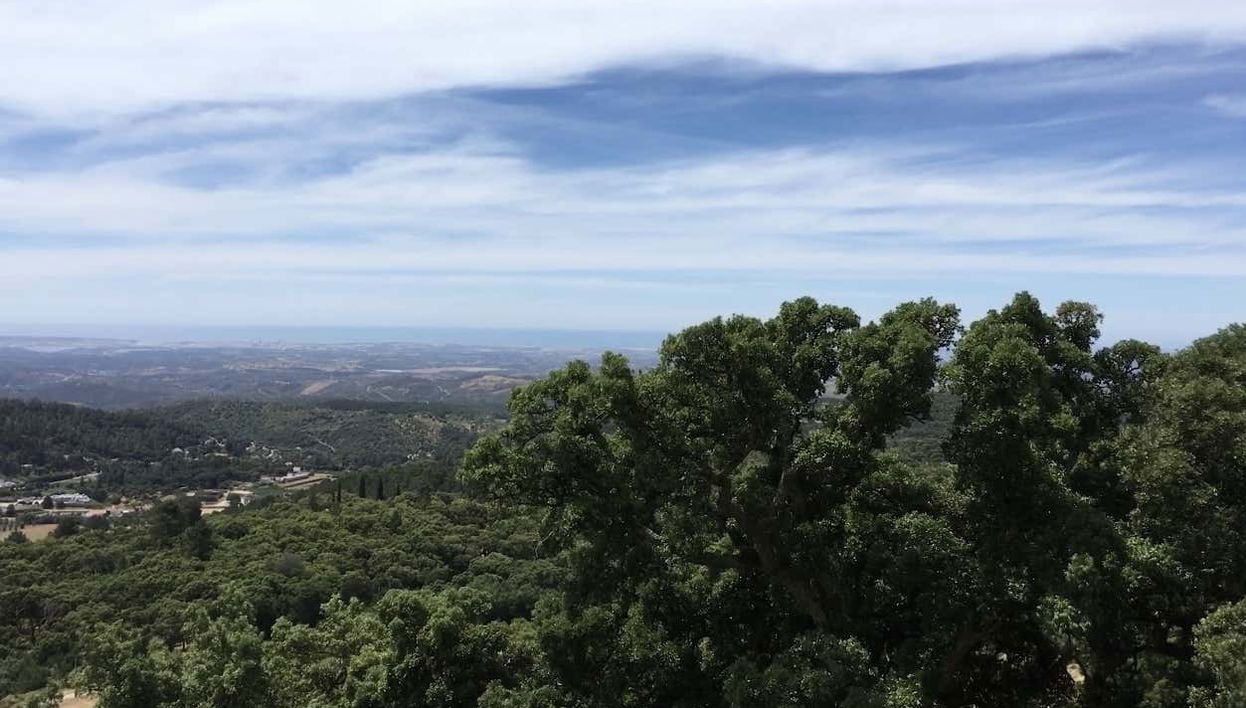 Disfrutando de la naturaleza de la sierra de Monchique