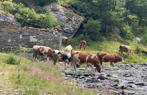 Beau duplex refait à neuf, 45m2, 4 pers, vue - Photo 26