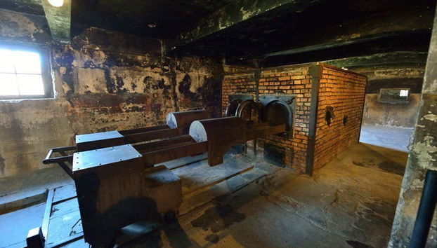 Krakow Combo: Auschwitz and Salt Mine Tour - Foto 3