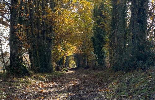 Belle Vue Gite - Foto 41