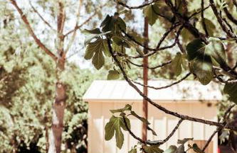 Cabanas de Melides - Foto 23