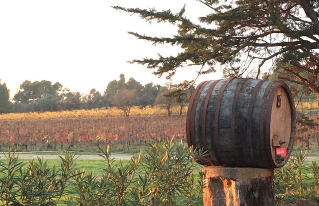 Gîtes Pech-céleyran - Photo 49