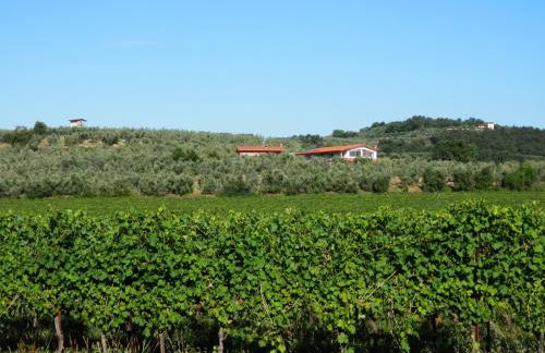 Agriturismo Fioralba - Photo 54