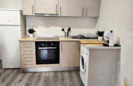 Boutique 2 apartamento Ave centro Lleida - Foto 12