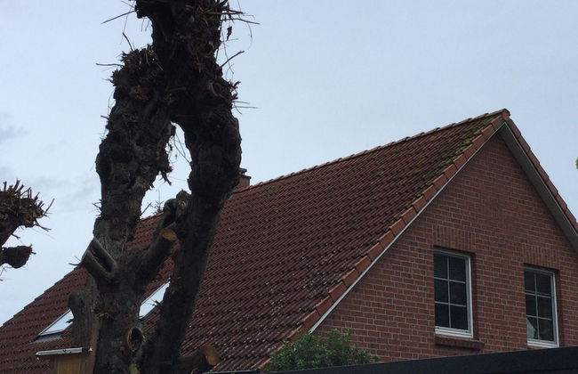 Apartment Marit - Foto 23