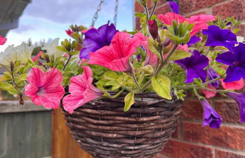 Luxury Guest Suite Dog Friendly - Foto 20