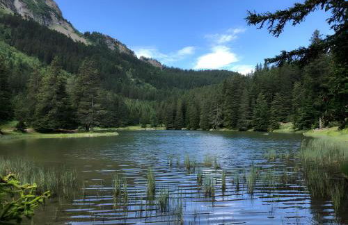 Chalet De Montagne 12 Couchages - Foto 32